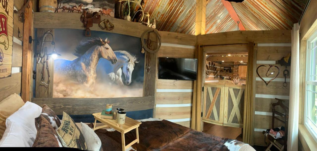 Bed and Breakfast Fox Pass Cabins Hot Springs Zewnętrze zdjęcie